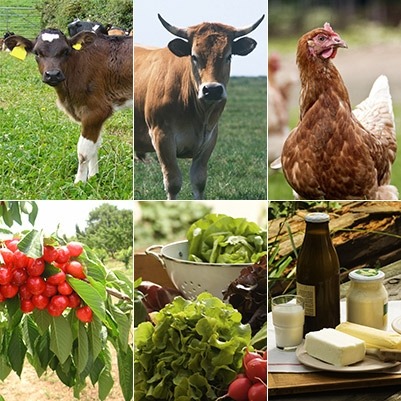 Animal and agricultural products